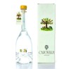 Capovilla Grappa Moscato Giallo Astucciato 50 cl | Kategorie GRAPPA